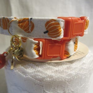 Tossed Pumpkins Cat Collar, Breakaway Buckle, Autumn Halloween Collar image 7
