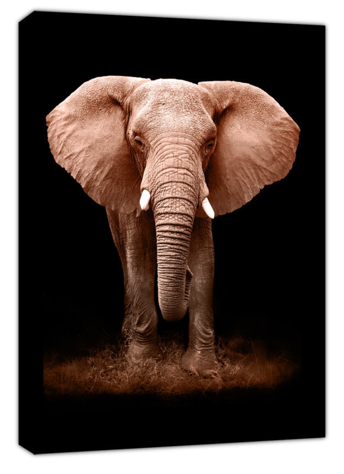 Large elephant canvas in Gold/Sepia mounted and ready to hang Etsy