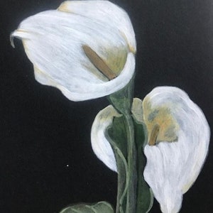 Calla Lily (Noir) kaart - blanco gelaten voor uw eigen persoonlijke boodschap.