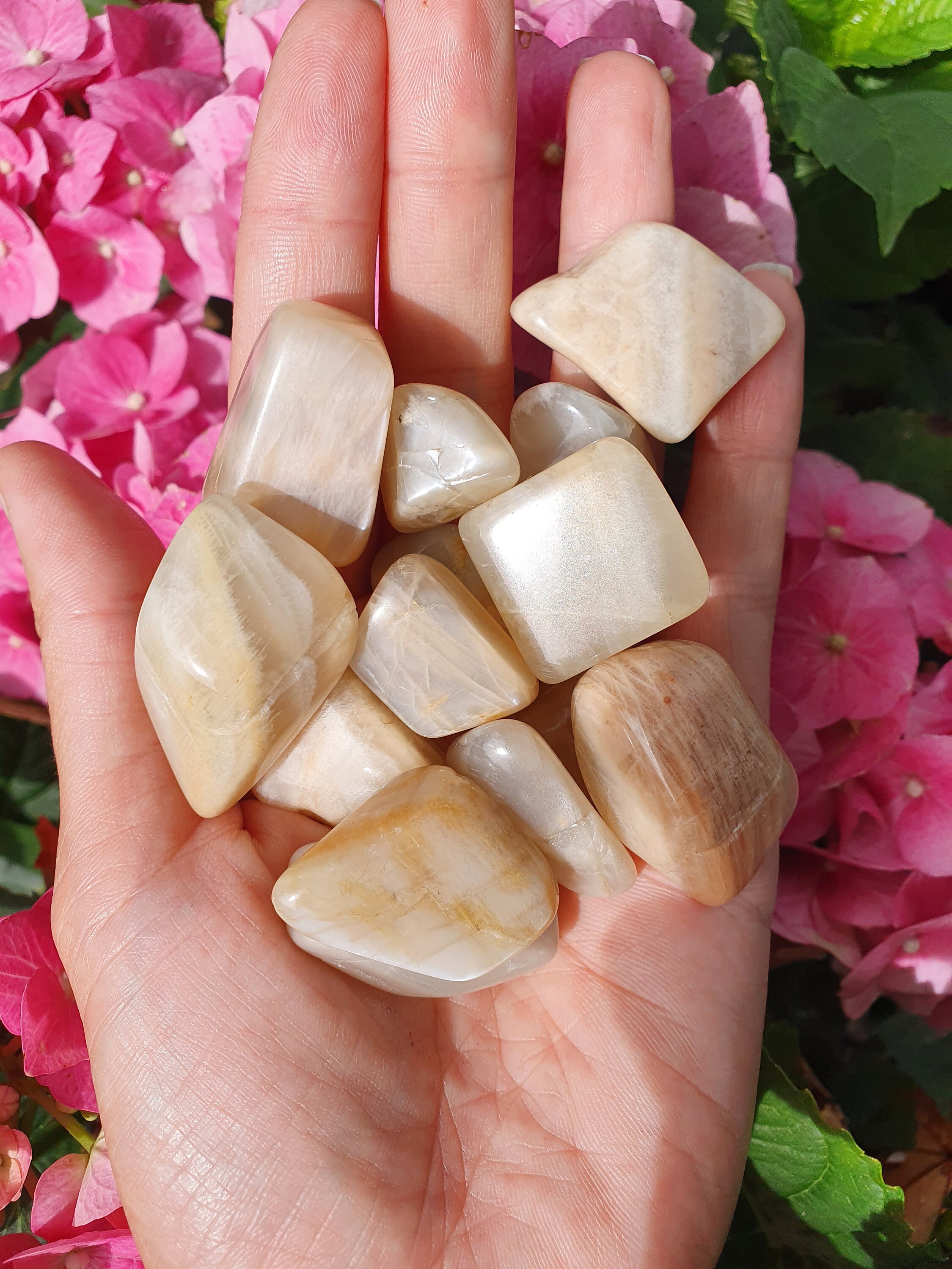 Moonstone Polished Tumblestones Moonstone Crystals polished Etsy