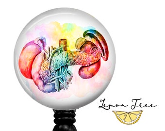 Human Anatomy Watercolor Pancreas Badge Reel - Retractable Badge Holder - Lanyard - Carabiner - Stethoscope Name Tag - Nurse Gift