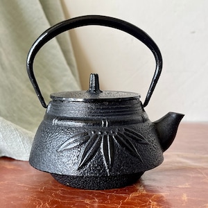 Cast Iron Teapot Tetsubin Nanbu Japanese Kikusendo Ironware Teapot Black Patina Design handmade in Japan SI1645