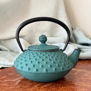 Japanese Iwachu Ironware Teapot Tetsubin Ironware Green Hobnail Design Teapot SI1857