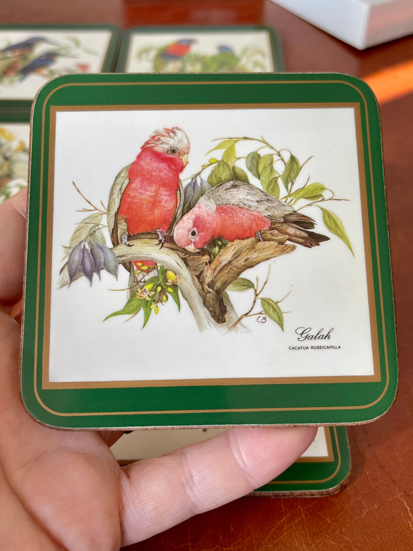 Vintage Pimpernel Coaster Set/ Birds of Australia Set of 6 Etsy