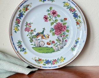 Palissy Royal Worcester Spode Baltimore Oriole 9