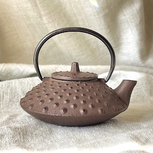 Japanese Cast Iron Teapot Tetsubin Ironware Iwachu Cacao Powder Brown Hobnail Design Teapot SI1753