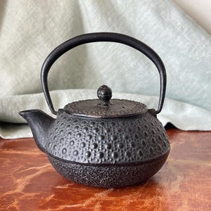 Japanese Iwachu Ironware Teapot Tetsubin Ironware Black Hobnail Design Teapot with Strainer SI1751