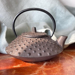 Japanese Cast Iron Teapot Tetsubin Ironware Iwachu Cacao Powder Brown Hobnail Design Teapot SI1753