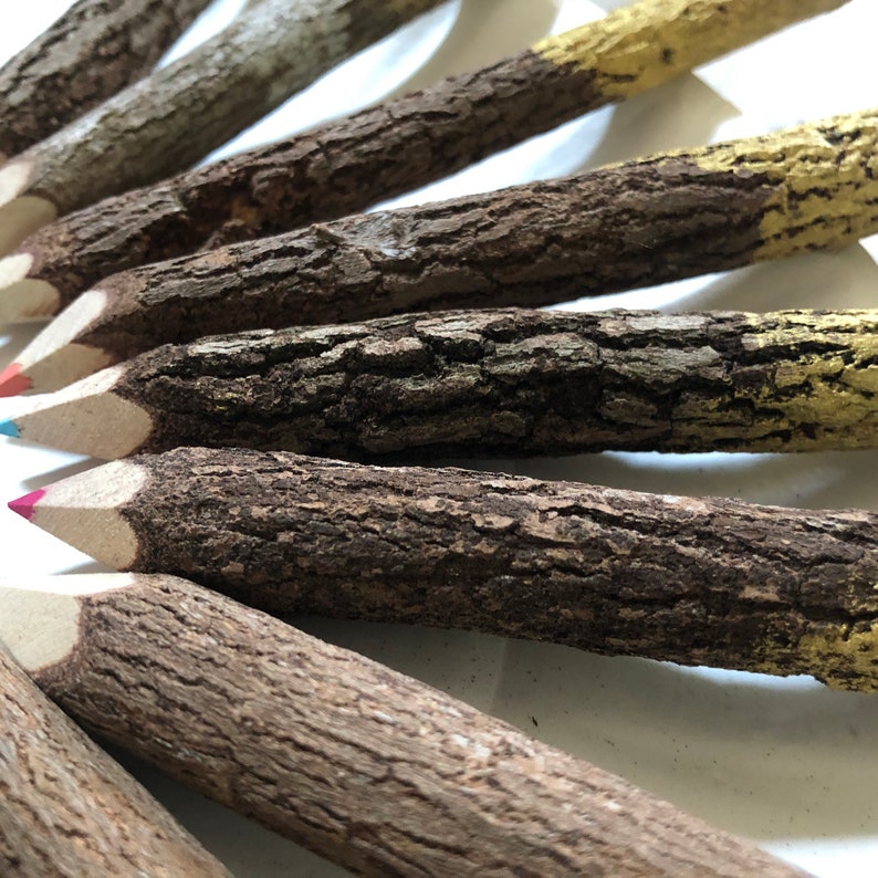 Natural Wood Colored Pencils Set of 5 Etsy
