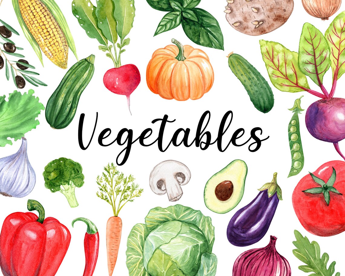 Vegetables watercolor clipart vegetarian healthy food png Etsy
