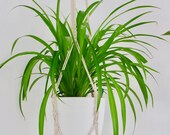 Makramee Flower Floral 80-105 cm Macrame Plant Hanger 31-41 quot