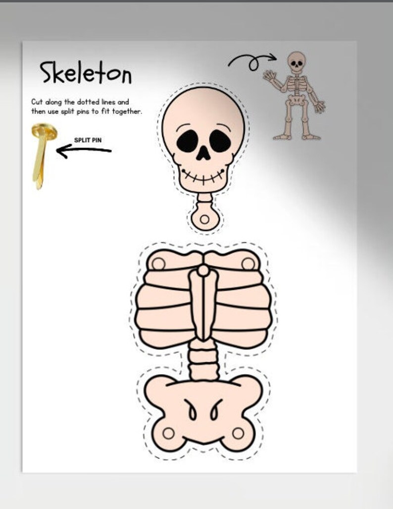 Printable Skeletal System Worksheets,anatomy Worksheet,homeschool ...