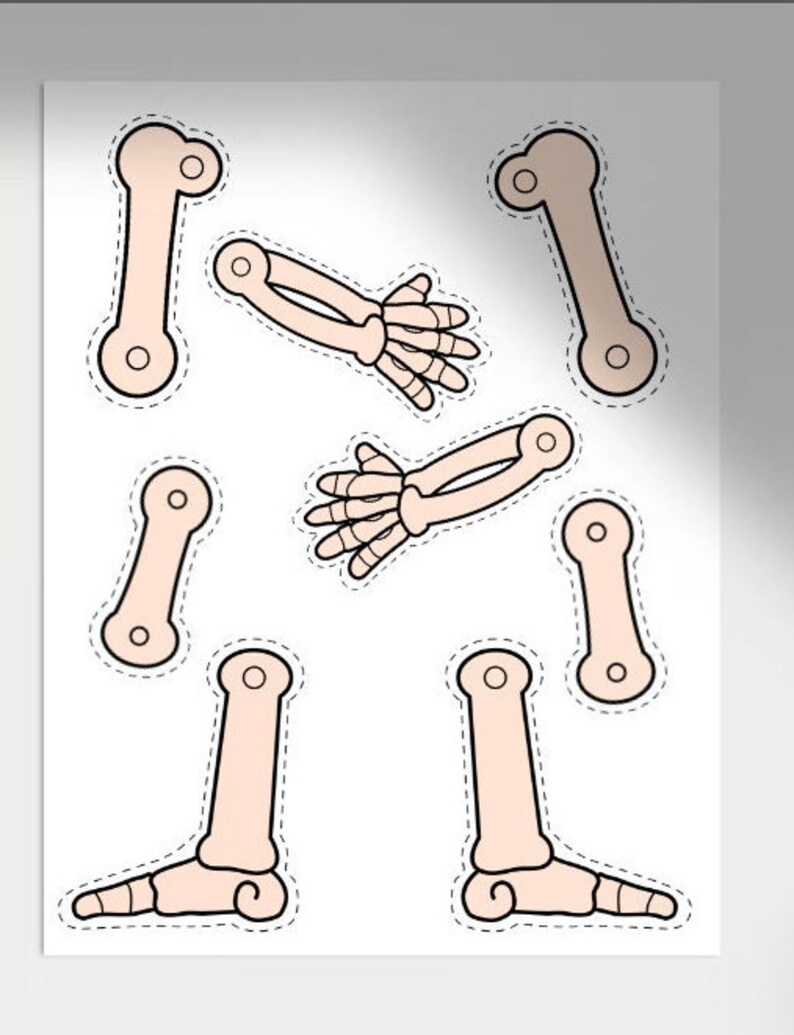 Printable Skeletal System Worksheets,anatomy Worksheet,homeschool ...