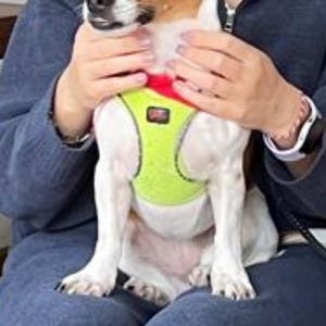 Handgemaakte gebreide hondendeken, babydeken met dierenpatroon