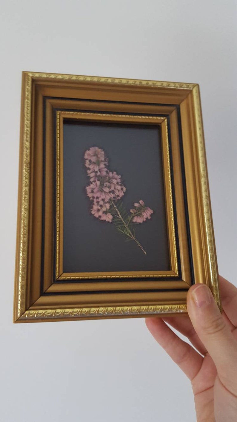 pressed flowers frame gold vintage frame nature lover gift Real pressed Heather flower framed small floral art pressed flower art
