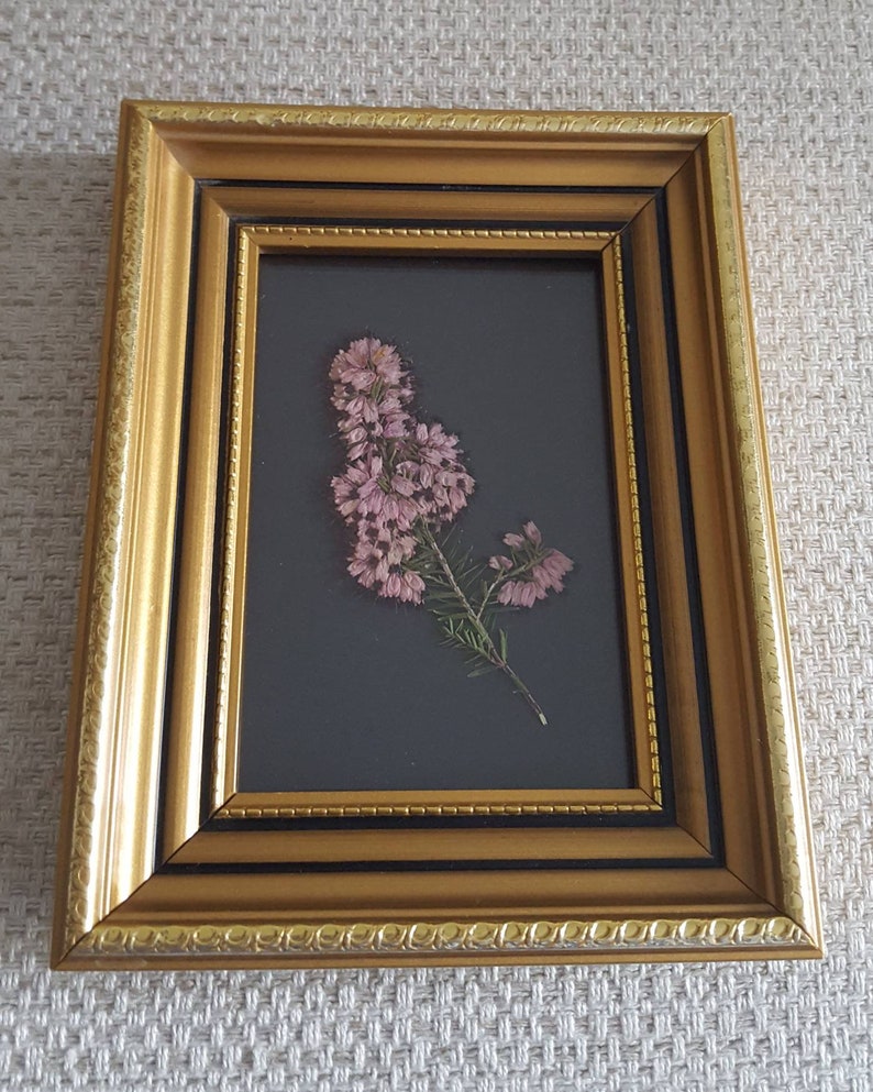 pressed flowers frame gold vintage frame nature lover gift Real pressed Heather flower framed small floral art pressed flower art