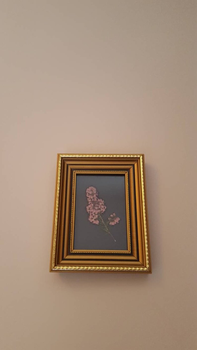 pressed flowers frame gold vintage frame nature lover gift Real pressed Heather flower framed small floral art pressed flower art