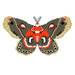 Cecropia Moth Cross Stitch Pattern - Moth Art Insects Bug Art Silk Moths Entomology