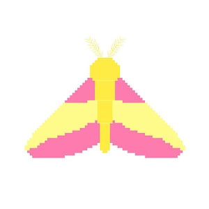 Rosy Maple Moth Cross Stitch Pattern - Moth Bug Insect Art Butterfly  Pink Yellow