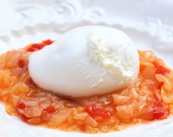 Friggione - Braised Onions with Fresh Tomatoes with Burrata, Printable PDF Italian Recipe with Photo, Instant Digital Download