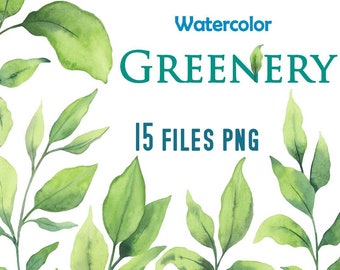 Botanical clipart Watercolor greenery Plant clipart Foliage clipart Digital green foliage Greenery png Branches clipart R1