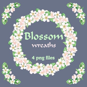 Kirschkranz Blütenkranz Aquarell Sakura Kranz png Rosa Kranz Kirschzweige Grüne Blätter Clipart R1