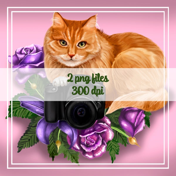 Cat clipart Ginger cat png Flowers clipart Camera png Pet graphics Pet clipart Animal clipart S1