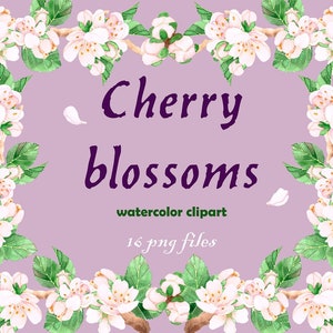 Kirsche Clipart Aquarell Blumen Aquarell Kirschblüte Aquarell Clipart Kirschblüten Clipart Kirschzweige Grüne Blätter Clipart R1