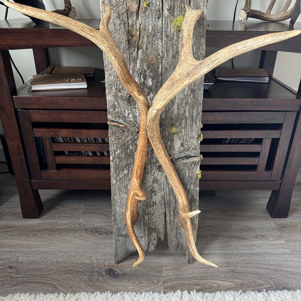 Elk Shed Barn Wood Coat Rack