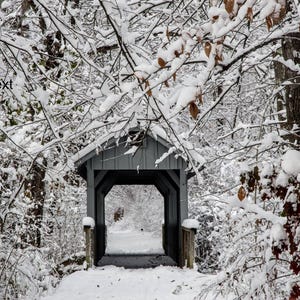 May include: A snow-covered wooden covered bridge in a forest. The bridge is painted gray and has a peaked roof. The surrounding trees and branches are laden with snow, creating a winter scene.