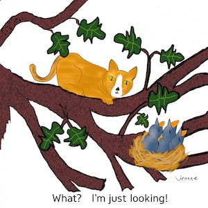 Humor de gato, arte de dibujos animados feminista, pequeña impresión original, comentario de dibujos animados, humor de dibujos animados, gato, pájaros bebé, pared de oficina / arte de escritorio, impresión 8x8