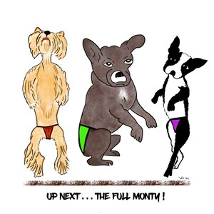 Dog humor, Full Monty, French Bulldog, Small print, Original Digital Illustration, Desk art, Dorm art, Office art, Cartoon art