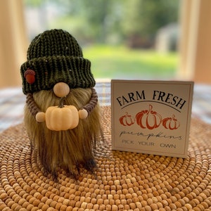 Pumpkin Gnome, Neutral Gnome, Fall Gnome, Gnome Decor, Tiered Tray Decor, Autumn Decor, Knit Gnome, Pumpkin Decor, Fall Decor, Autumn Gnome