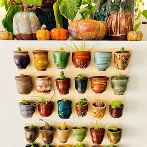 One Mini Magnet Pot - Fridge Magnet Planter