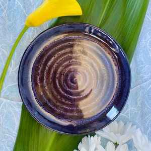 May include: A blue and brown ceramic plate with a swirl design. The plate is on a green leaf and a white background.