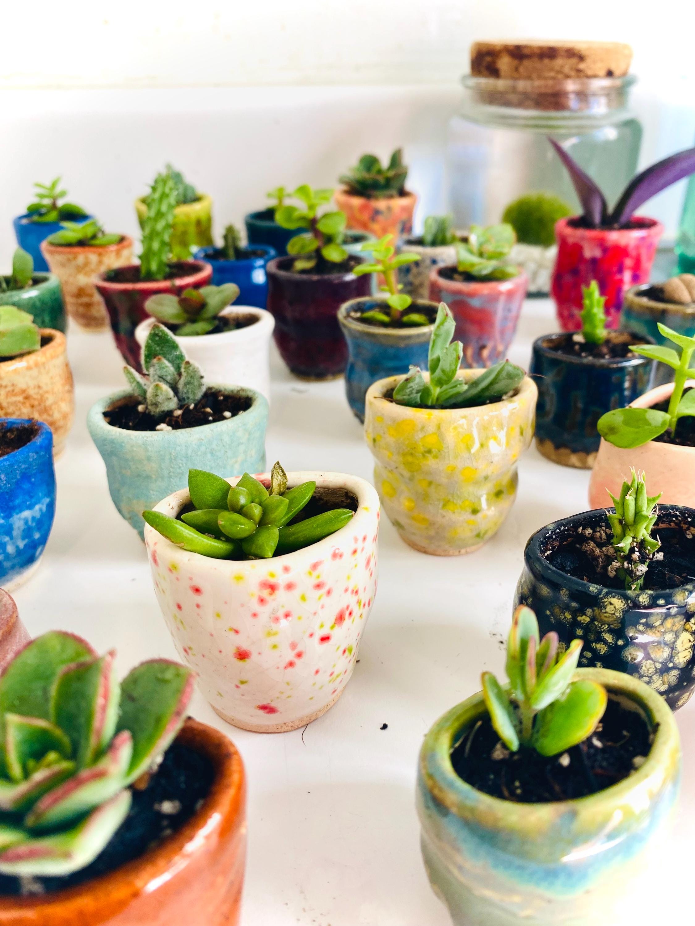 One Mini Magnet Pot - Fridge Magnet Planter - Etsy