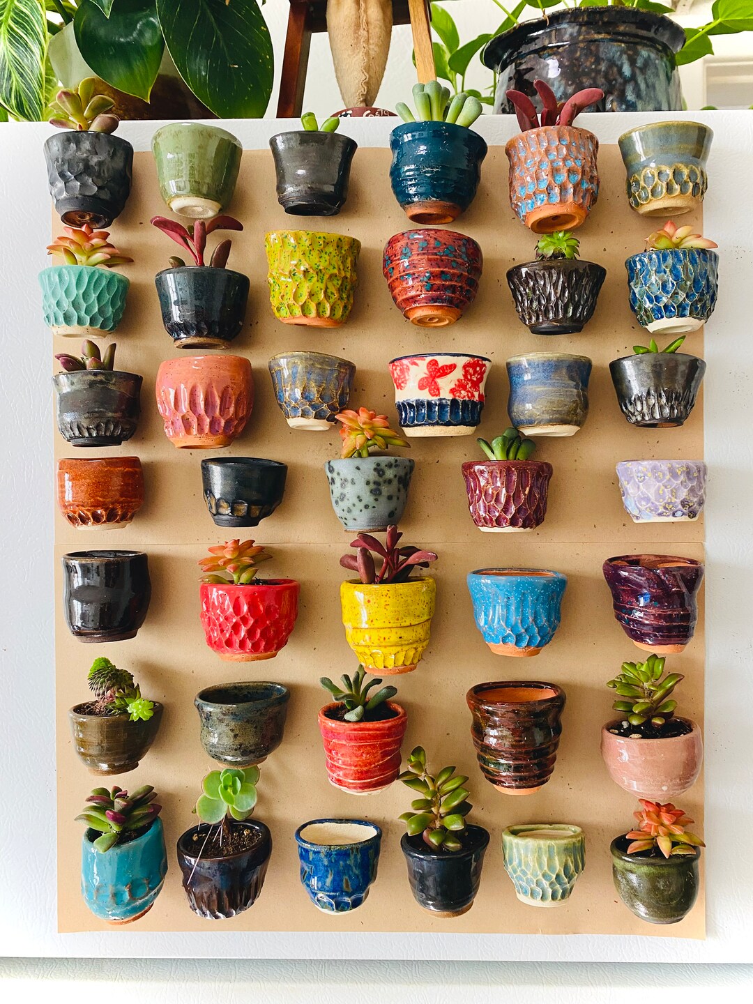 Mini Pot Fridge Planter Etsy