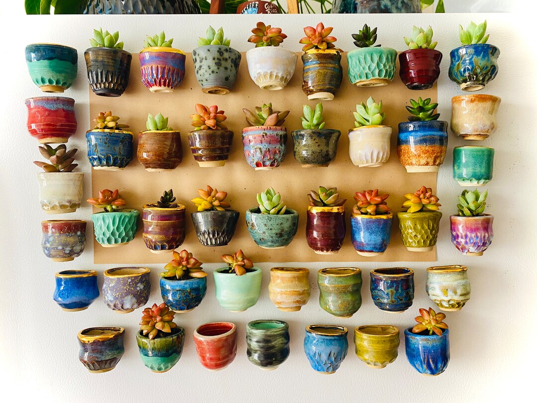 Mini Pot Fridge Planter Etsy