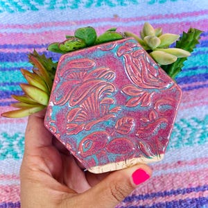 May include: A hexagonal pink and turquoise ceramic planter with a floral design. The planter is filled with small green succulents.