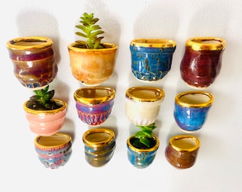 Mini Magnet Pot with Real Gold Rim - Fridge Magnet Planter