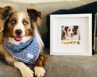 Personalized Pet Portraits for Pet Lovers