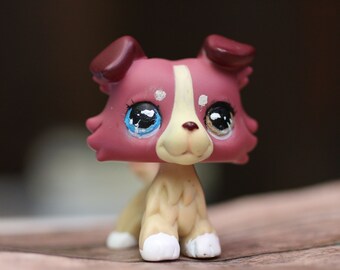 lps collie for sale