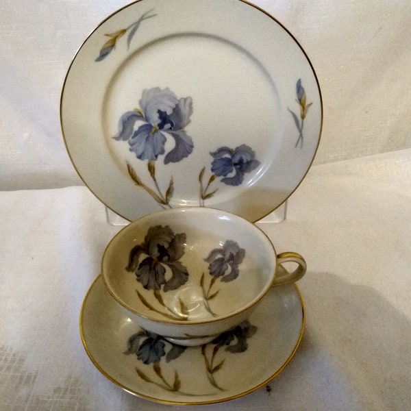 Thomas Rosenthal Germany Luncheon Plate Tea Coffee Cup & Saucer Set #04704