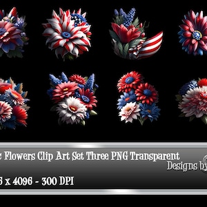 Illustraties patriottische bloemen set drie