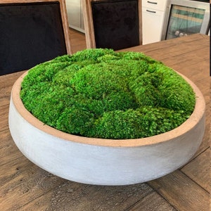 ONLY MOSS-Preserved DIY Crafts Stabilized Pole Moss Pillow Bun Cushion Natural Green Decorative Real Mood Dried Terrariums Centerpieces Bowl