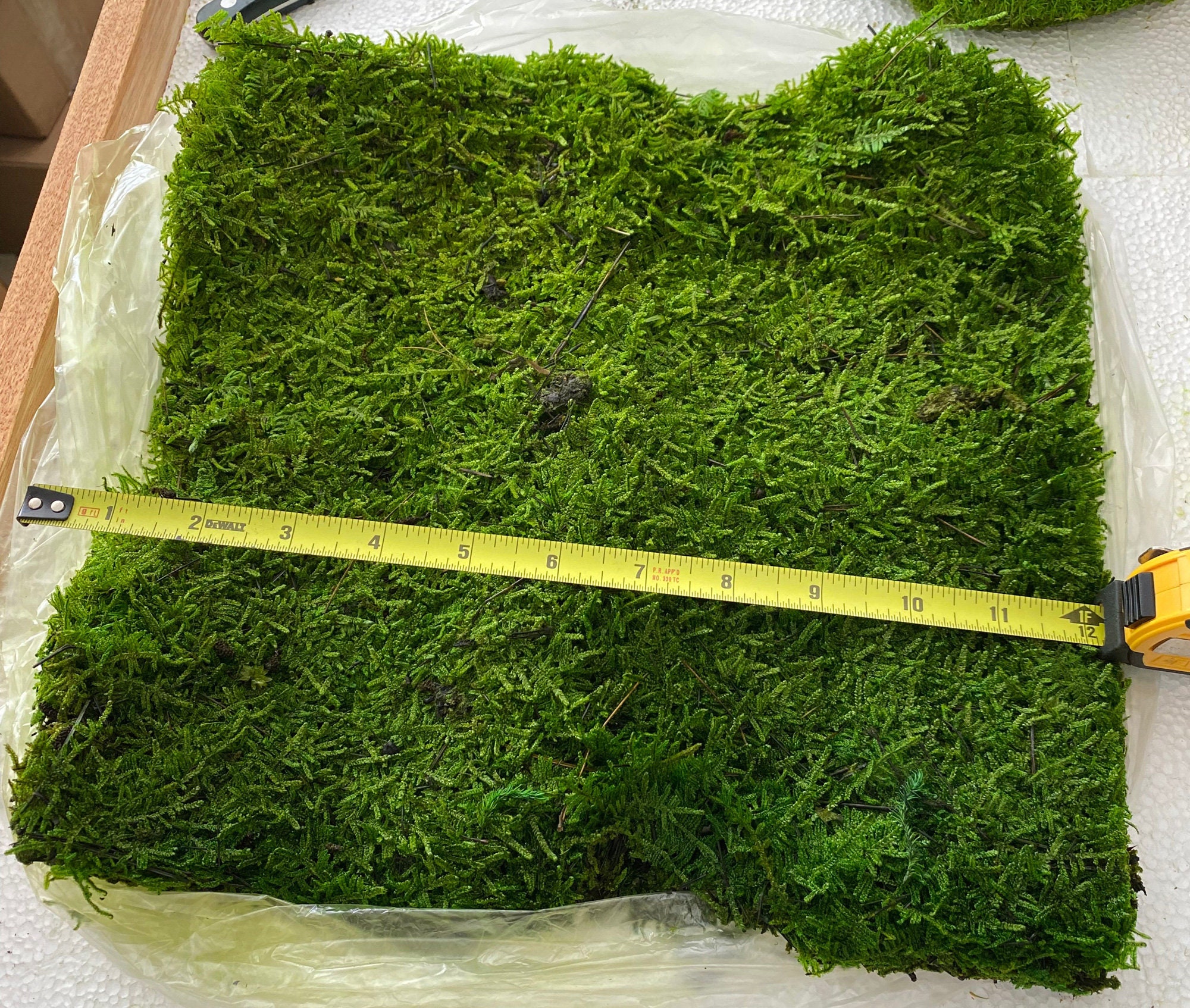 Artificial Green Water Sphagnum Moss Sheet - Drieds + Natural