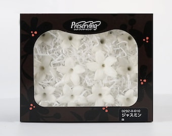 Preserved White Jasmine Flowers, DIY Wedding Decor, 12 ct (1.18 inch)