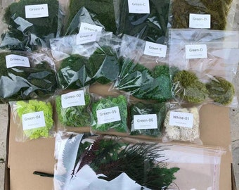 Könnte beinhalten: Sortiment aus konserviertem Moos in durchsichtigen Plastiktüten, die mit Namen wie "Green-A", "Green-B", "Green-C", "Green-D", "Green-01", "Green-02", "Green-05", "Green-06" und "White-01" beschriftet sind.