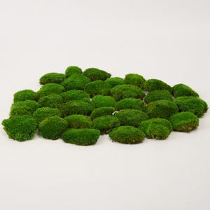 May include: A collection of preserved green moss, arranged in a loose, natural pattern. The moss is ideal for crafting and decorating.