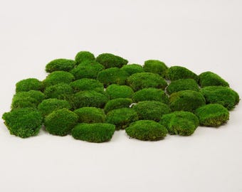 Preserved Pole Moss Pillow: Natural Green Terrarium Supplies